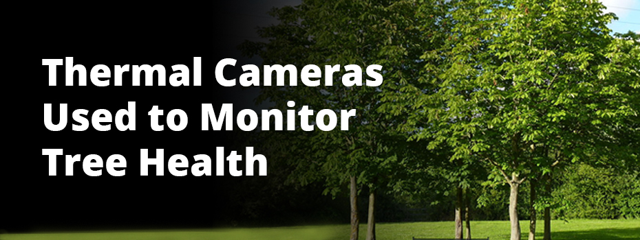 On the left of the image, large, white text reads 'Thermal Cameras Used to Monitor Tree Health'. On the left of the image some leafy, green trees stand in a park on a sunny day. 