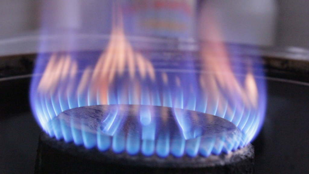 A blue flame around a hob. 