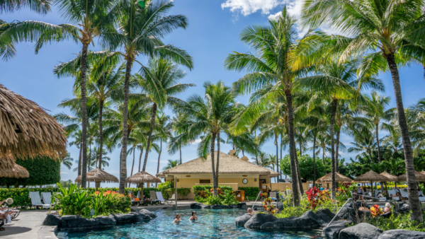 People play in a swimming pool surrounded by palm trees. Resort homes and straw parasols can be seen in the background. 