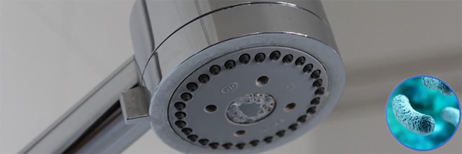 Close up of a silver, metal shower head. In the bottom right of the image is a blue legionella bacteria in a circle. 