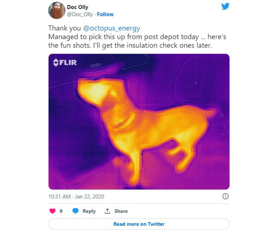 Tweet by Doc Olly that reads "Thank you @octopus_energy Managed to pick this up from the depot today... here's the fun shots. I'll get the insulation check ones later." Attached is a thermal image of a dog. 