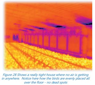 A FLIR thermal image showing a tight broiler house where no air is getting in anywhere. The birds are evenly placed all over the floor. 