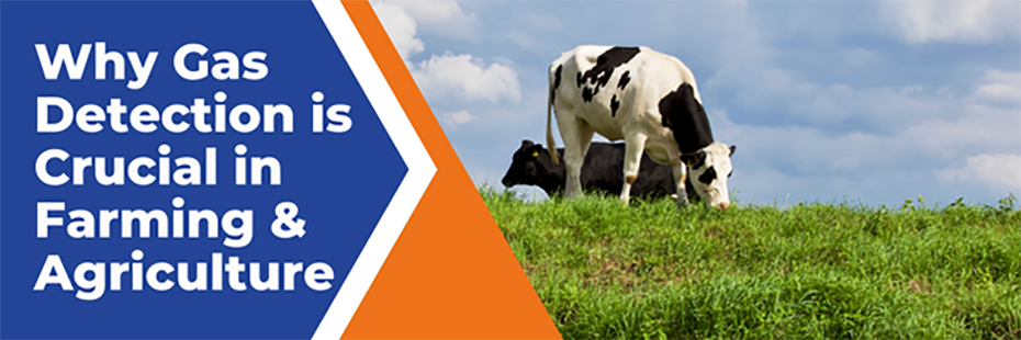 On the right, two dairy cows graze in a field. On the left large, white text on a blue background reads 'Why Gas Detection is Crucial in Farming & Agriculture'. 