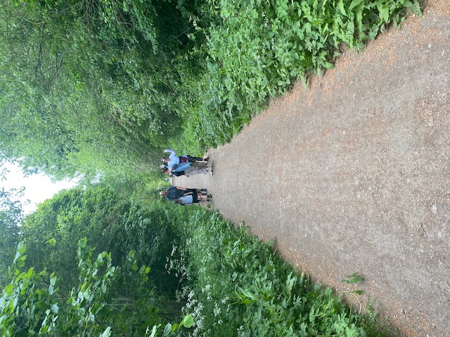 Members of the walking club stand on a rough gravel path, looking towards the camera. They are a long way from the photographer so facial details cannot be determined. Either side of them is green trees and foliage. 