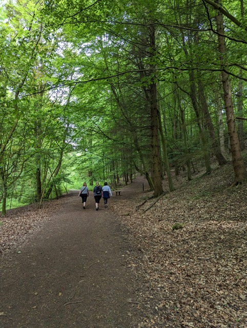 Three members of the walking club are walking away from the camera down a dusty path. Either side of them are tall thin trees. 