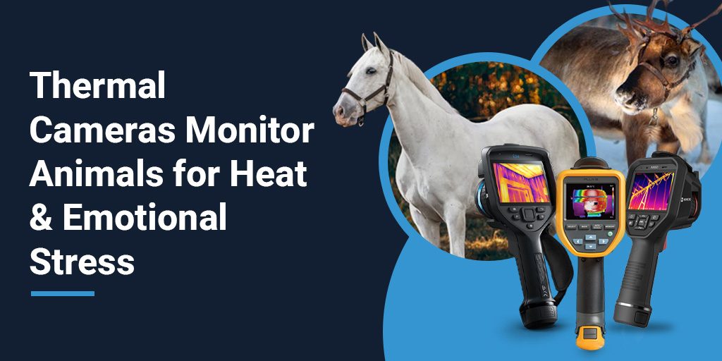 On the right is a reindeer in a circular frame. Next to the reindeer is a grey horse in circular frame. Below and in front of them are three pistol-grip thermal cameras. On the left, large white text on a blue background reads "Thermal Cameras Monitor Animals for Heat & Emotional Stress".