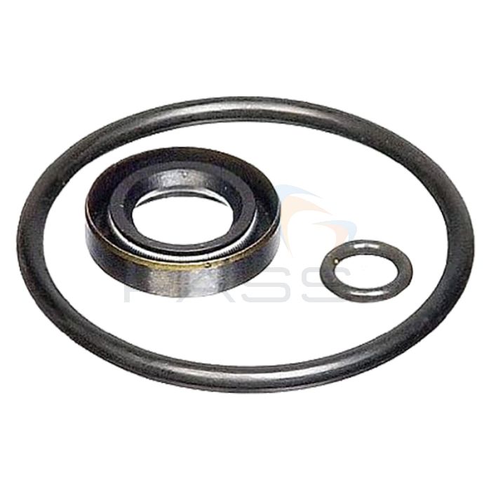 Fluke P5522SK Seal Kit for P5522