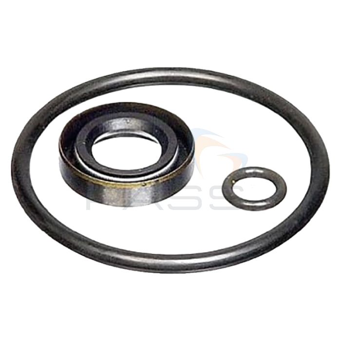 Fluke P5514SK-V Viton Seal Kit for P5514-V