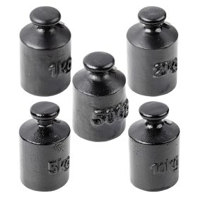 Kern 366 Series Individual Weight (500 g - 10 )kg, OIML Class M3, Knob, Cast Iron Lacquered - Choice of Weight