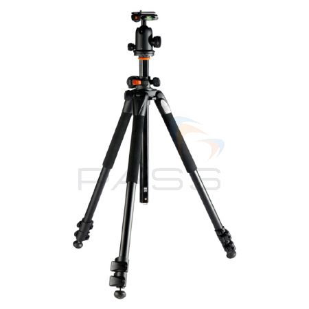 FREE Professional Tripod with Swivel Head