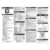 RDL RI-F200-B-C Three Phase CT Power Monitor Manual