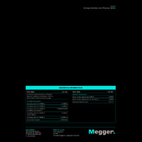 Megger DETEX Datasheet