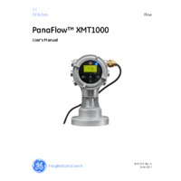 GE Druck PanaFlow XMT1000 Ultrasonic Flow Transmitter - User Manual