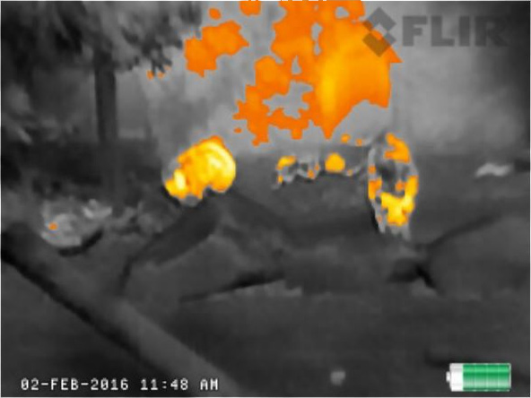 Teledyne FLIR Scout TKx Thermal Monocular Graded Fire 1 & 2 Palette.