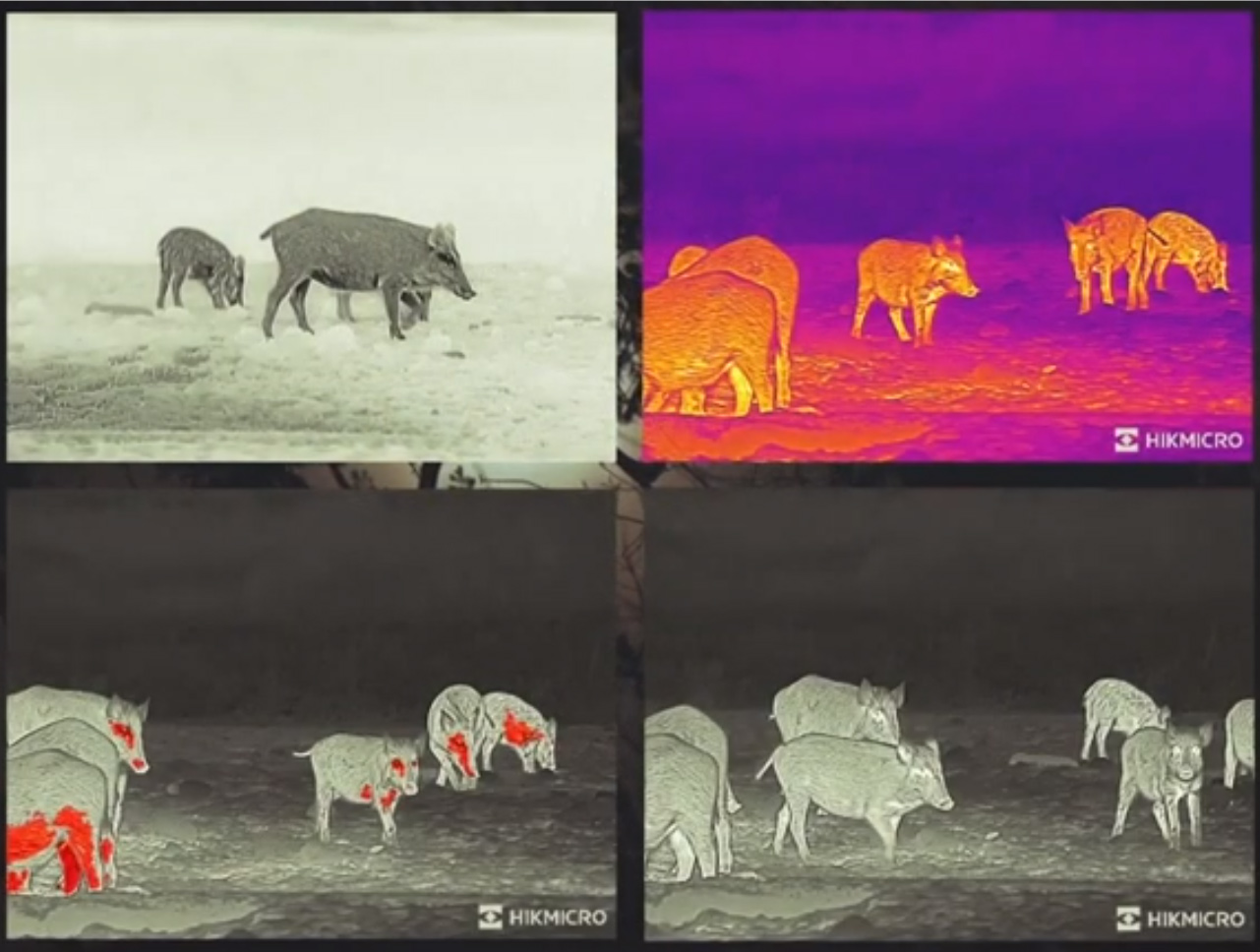 The four different imaging types demonstrating the four colour palettes are on display.