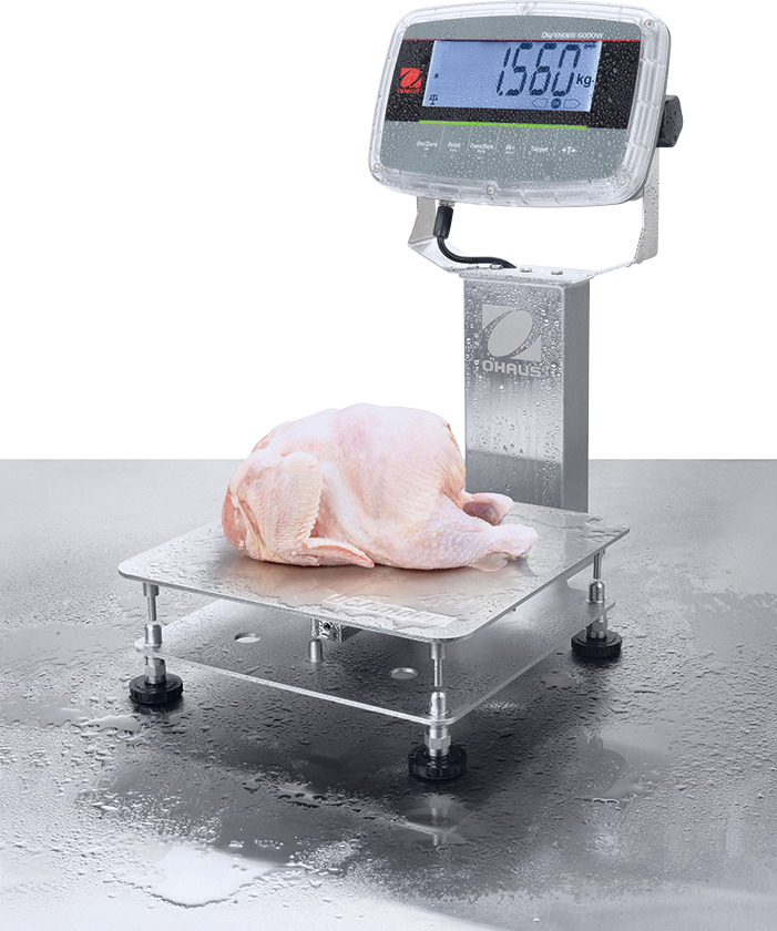 Ohaus Defender 6000 Hybrid IP68/IP69K Washdown i-D61PW Bench Scales weighing a chicken ready to be cooked.