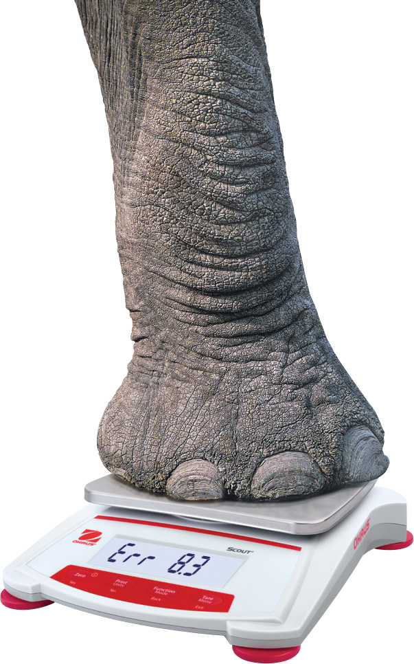 An elephant's foot on the scale showing the strength of the scale. An error message is displayed demonstrating the overload protection feature.