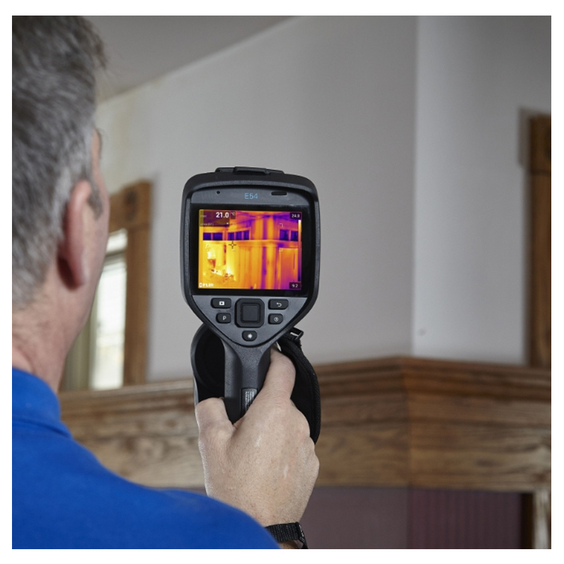 FLIR E54 Damp Inspection